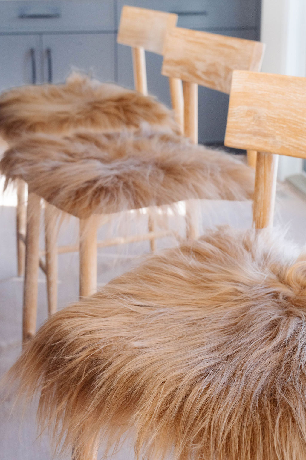Chair Pads