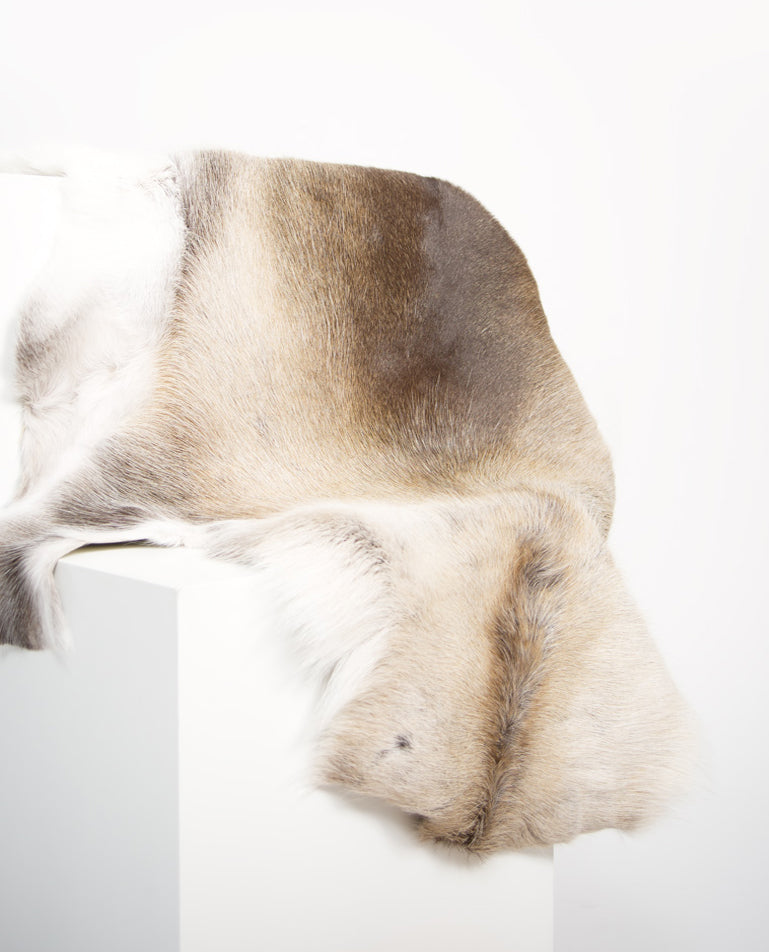 Finnish Reindeer Hides