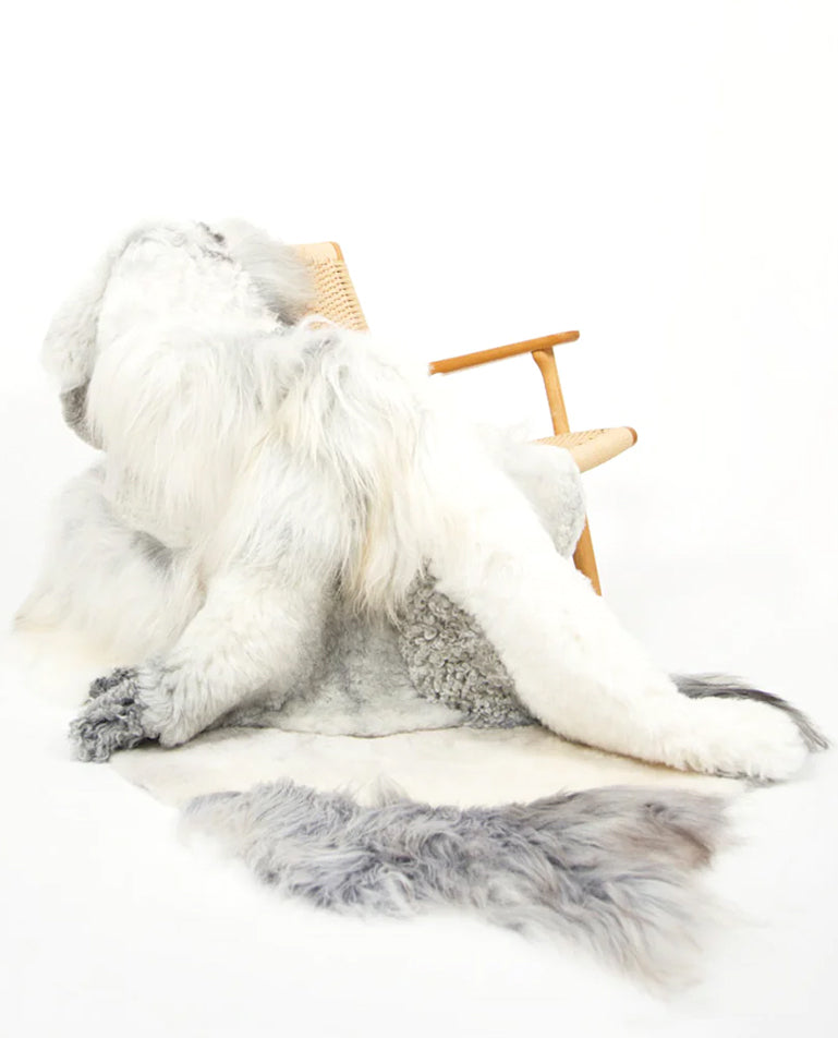 Melange Sheepskin Collection