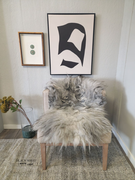 ONE OF THE KIND Gray Icelandic Sheepskin - Black Sheep (White Light)