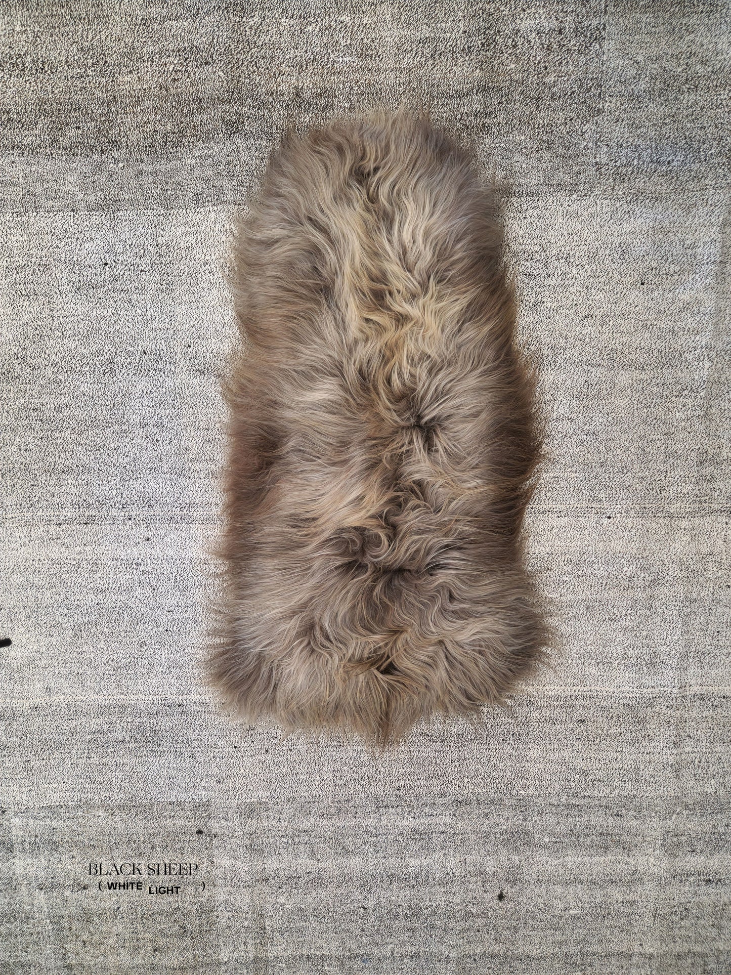 ONE OF THE KIND Icelandic Taupe Sheepskin - Black Sheep (White Light)