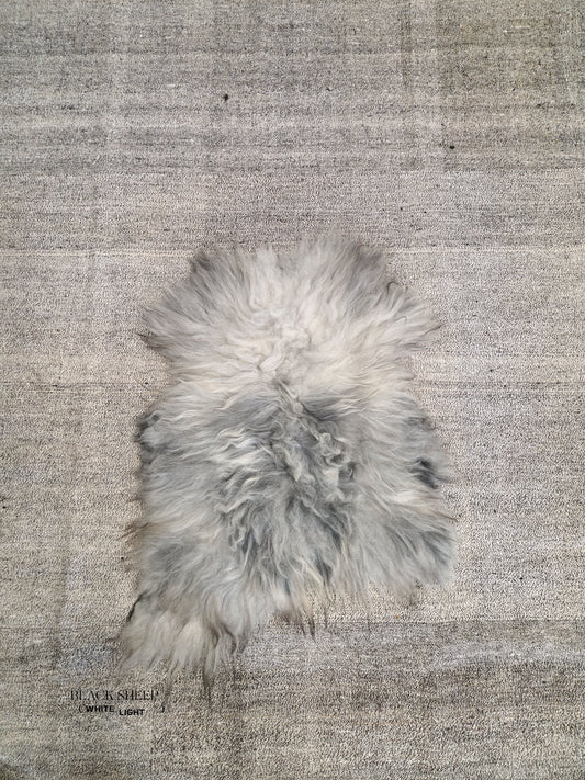 ONE OF THE KIND Gray Icelandic Sheepskin - Black Sheep (White Light)