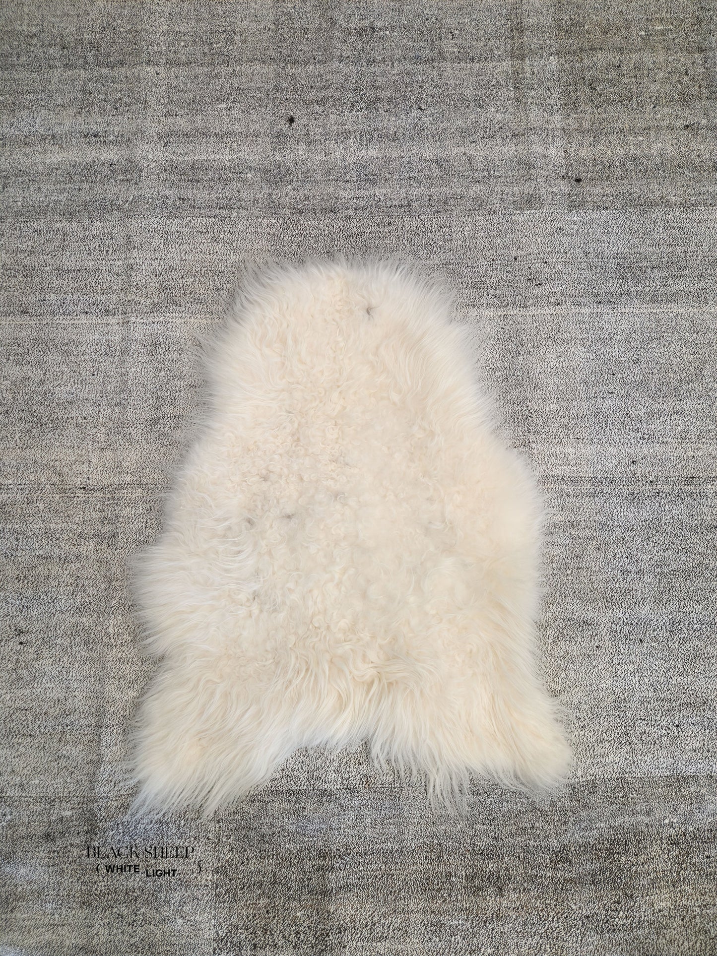 ONE OF THE KIND Icelandic White Sheepskin - Black Sheep (White Light)