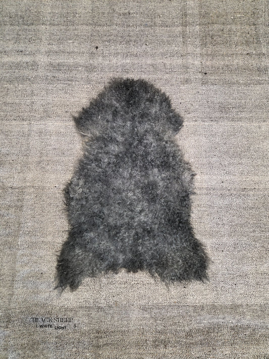 ONE OF THE KIND Gotland Grey Medium Wool Sheepskin - Black Sheep (White Light)