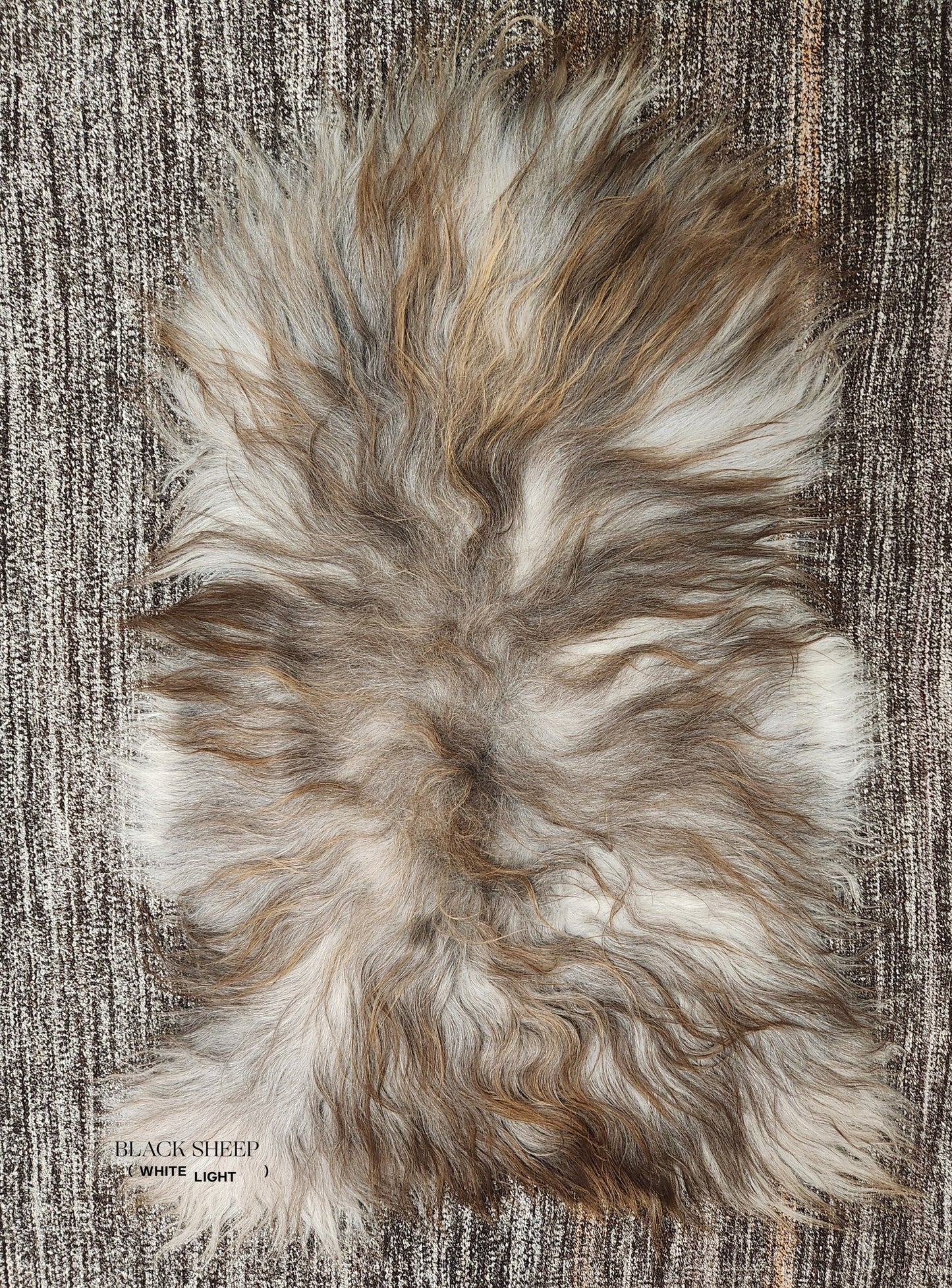 Rusty Grey Icelandic Sheepskin - Black Sheep (White Light)