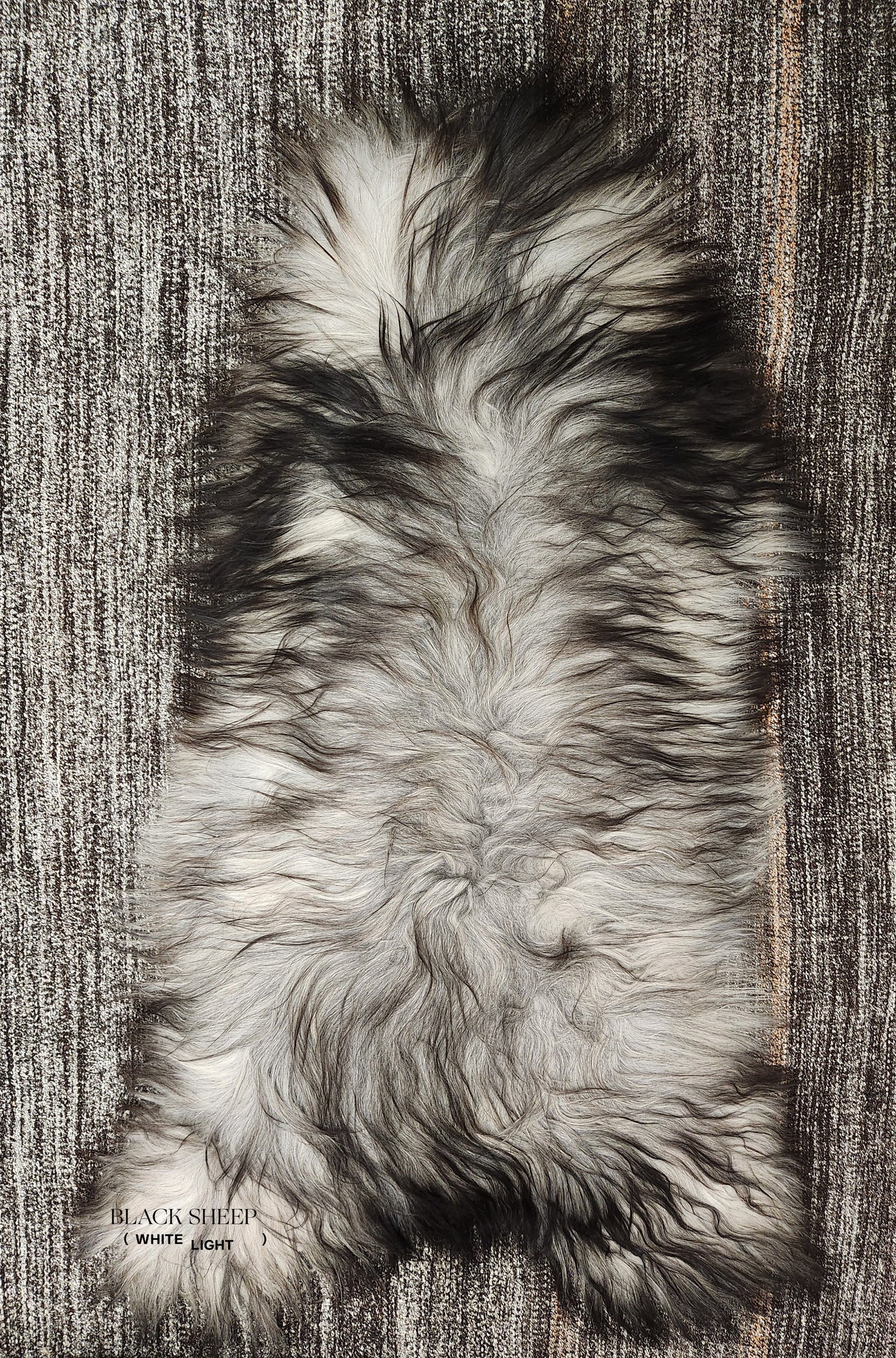Dark Grey Icelandic Sheepskin - Black Sheep (White Light)