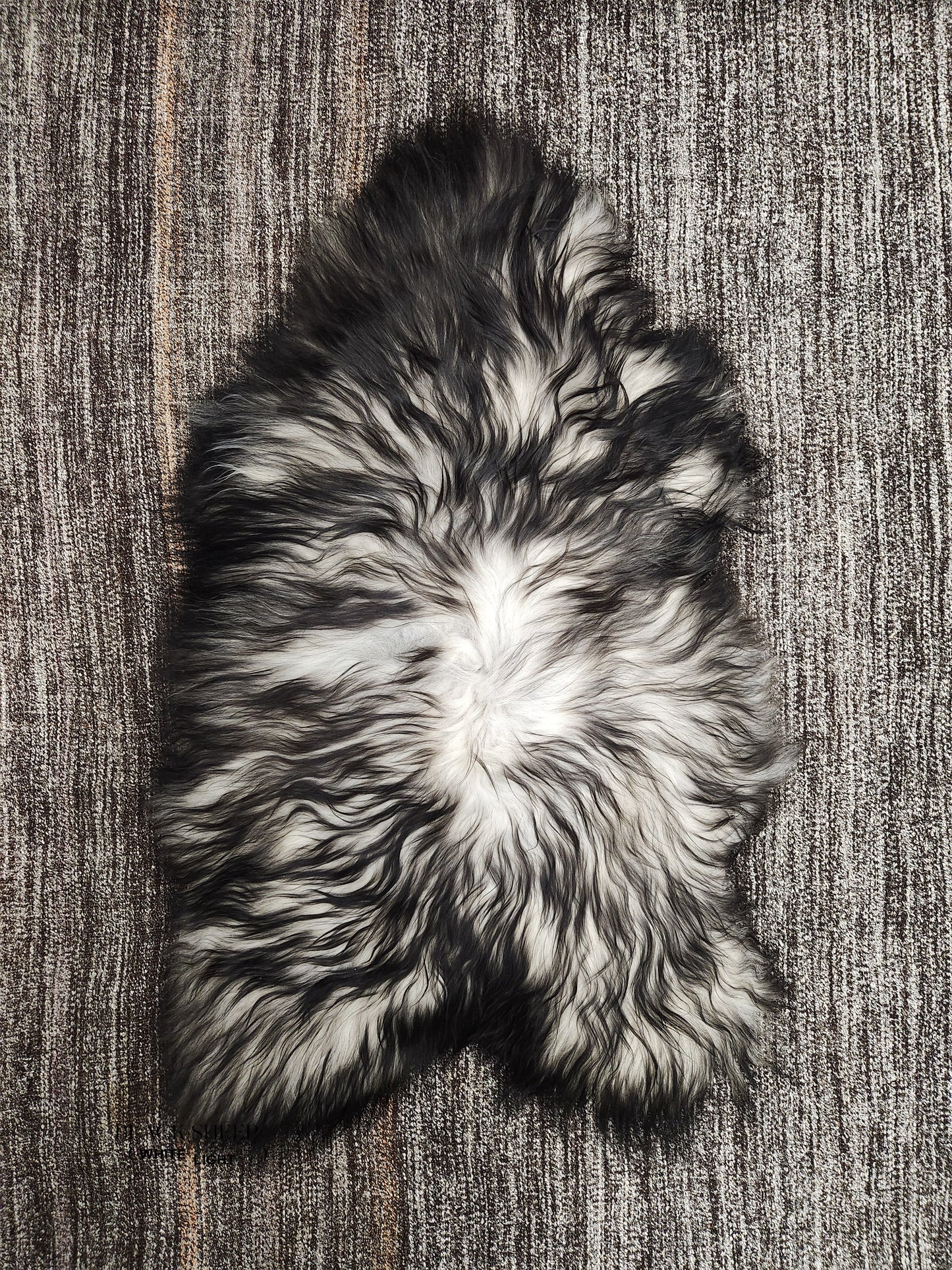 Dark Grey Icelandic Sheepskin - Black Sheep (White Light)
