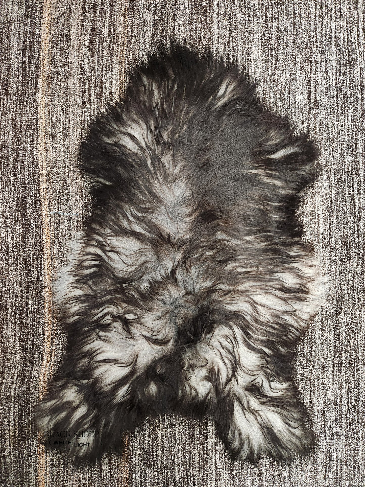 Dark Grey Icelandic Sheepskin - Black Sheep (White Light)