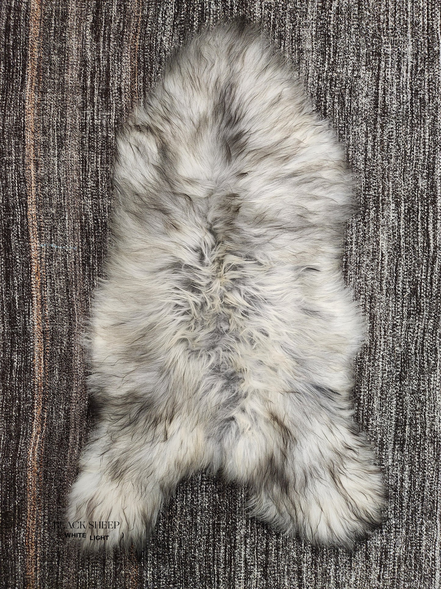 Natural Light Grey Icelandic Sheepskin - Black Sheep (White Light)
