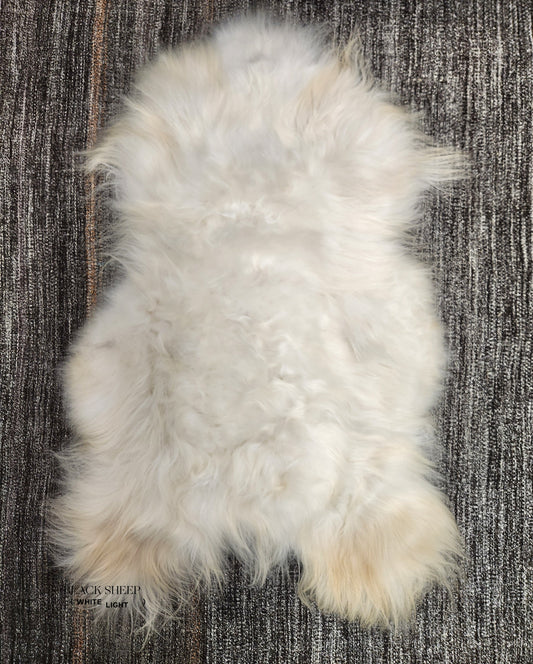 ONE OF THE KIND Icelandic White Sheepskin - Black Sheep (White Light)