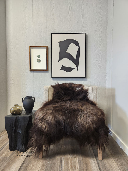ONE OF THE KIND Icelandic Blacky Brown Long Wool Sheepskin - Black Sheep (White Light)
