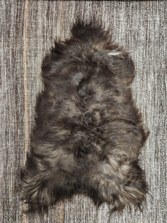 ONE OF THE KIND Icelandic Blacky Brown Long Wool Sheepskin - Black Sheep (White Light)