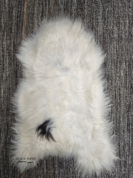 ONE OF THE KIND Icelandic White with Black Spot Sheepskin - Black Sheep (White Light)