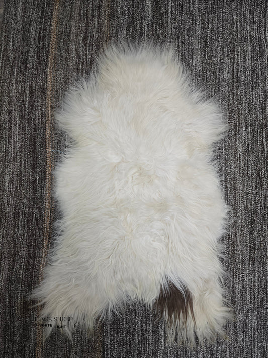 ONE OF THE KIND Icelandic White with Brown Spot Sheepskin - Black Sheep (White Light)