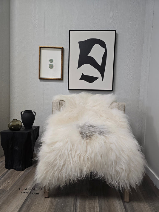 ONE OF THE KIND Icelandic White with Large Grey Spot Sheepskin - Black Sheep (White Light)