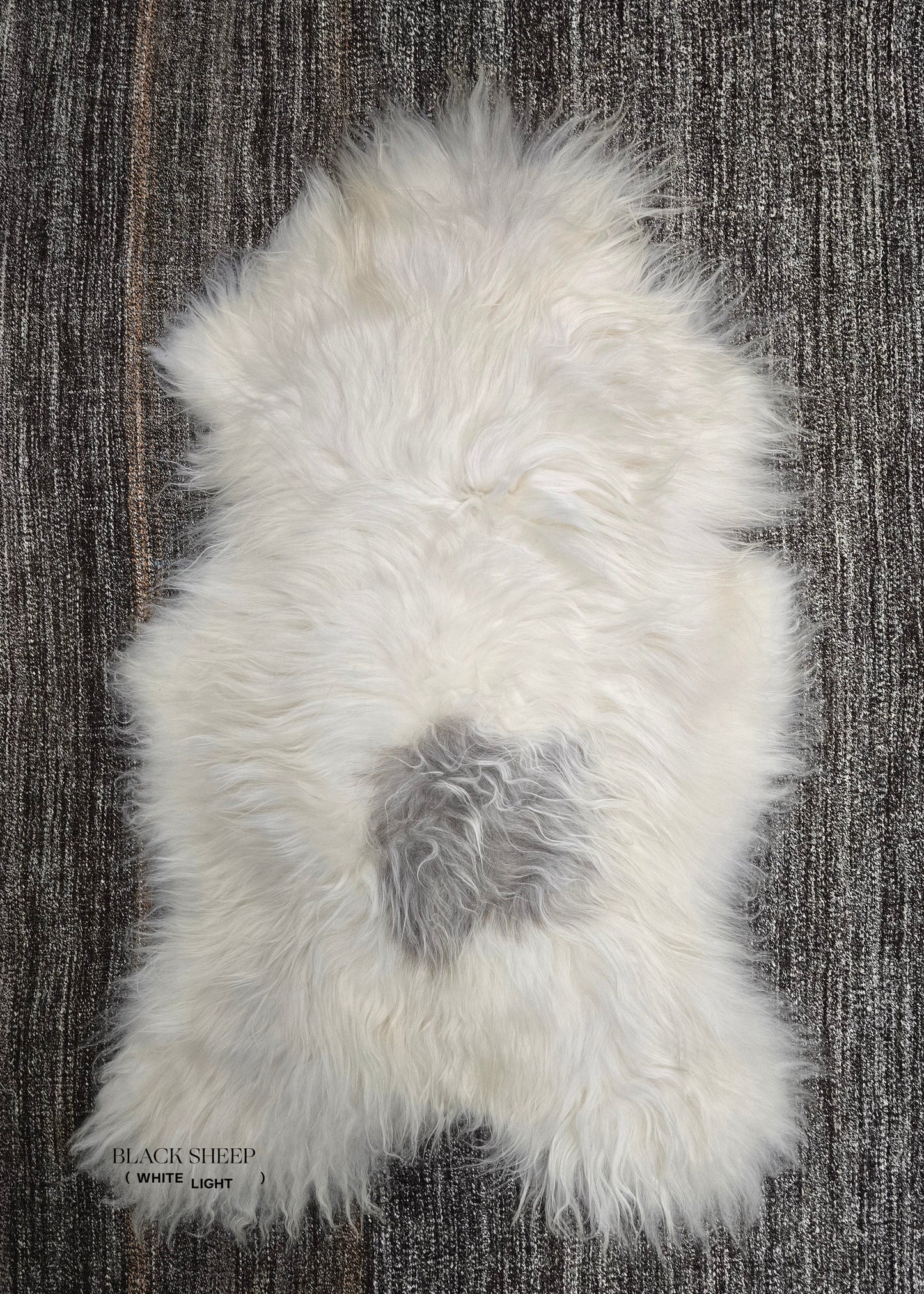 ONE OF THE KIND Icelandic White with Large Grey Spot Sheepskin - Black Sheep (White Light)
