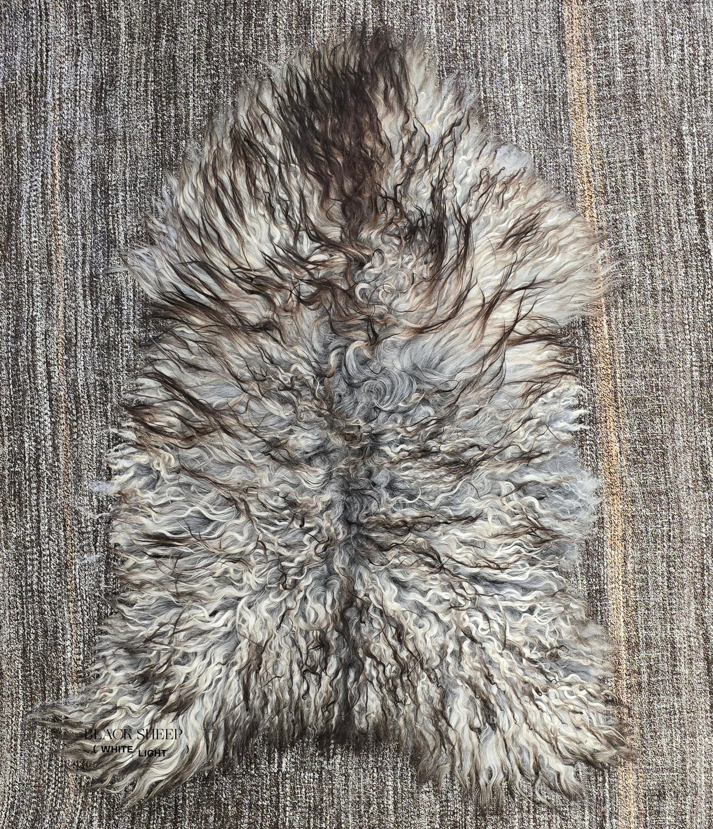 Natural Curly Grey Icelandic Sheepskin - Black Sheep (White Light)