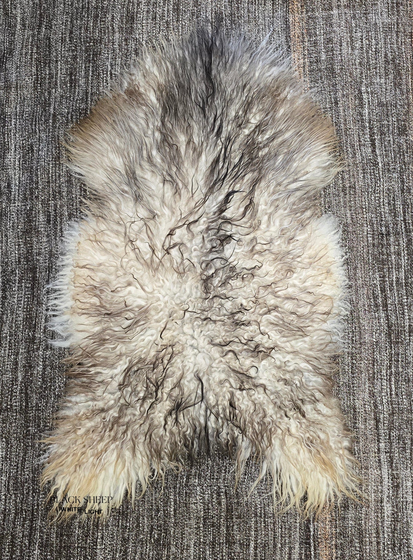 Natural Curly Grey Icelandic Sheepskin - Black Sheep (White Light)