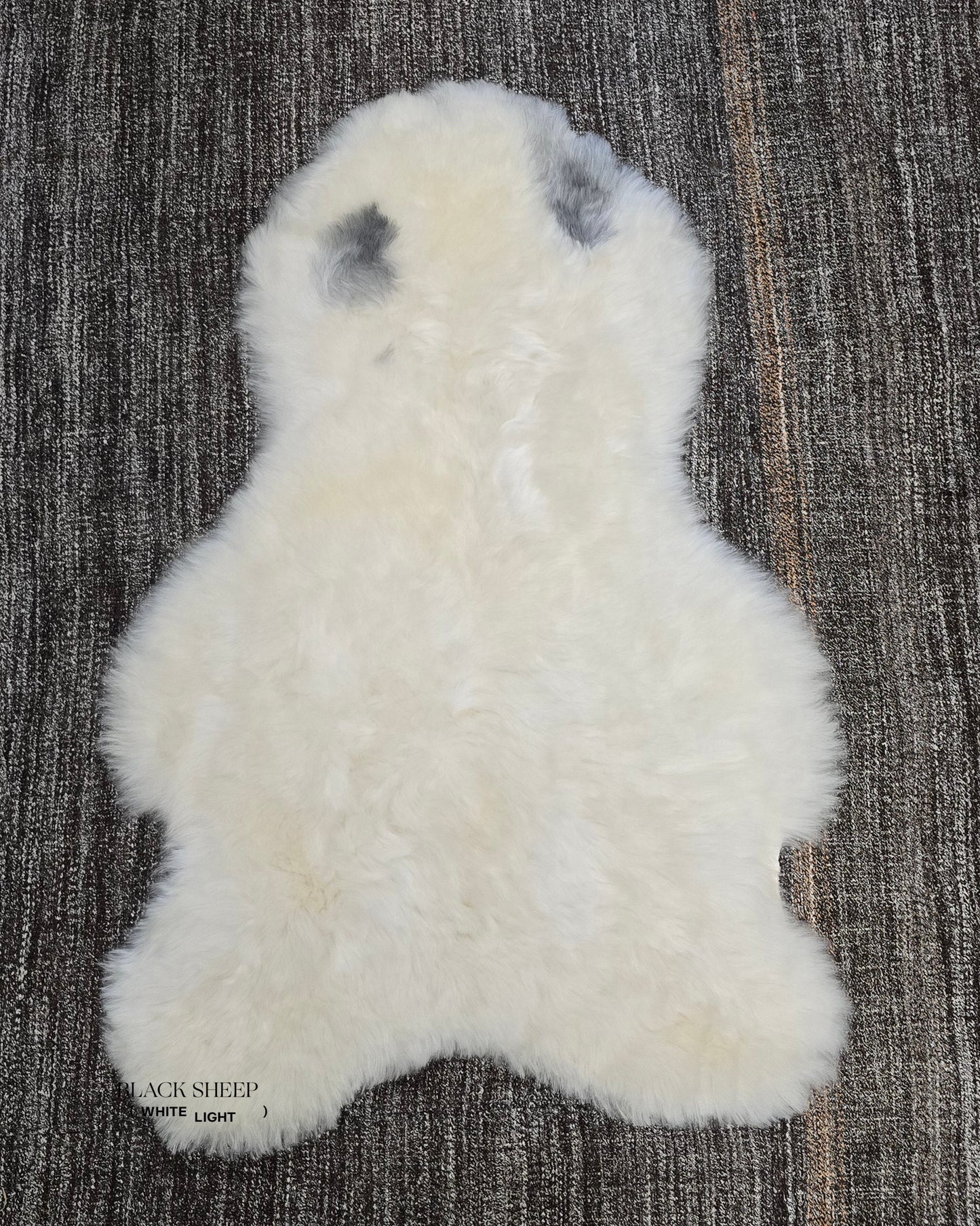 Shorn Spotted Icelandic Sheepskin | Random - Black Sheep (White Light)