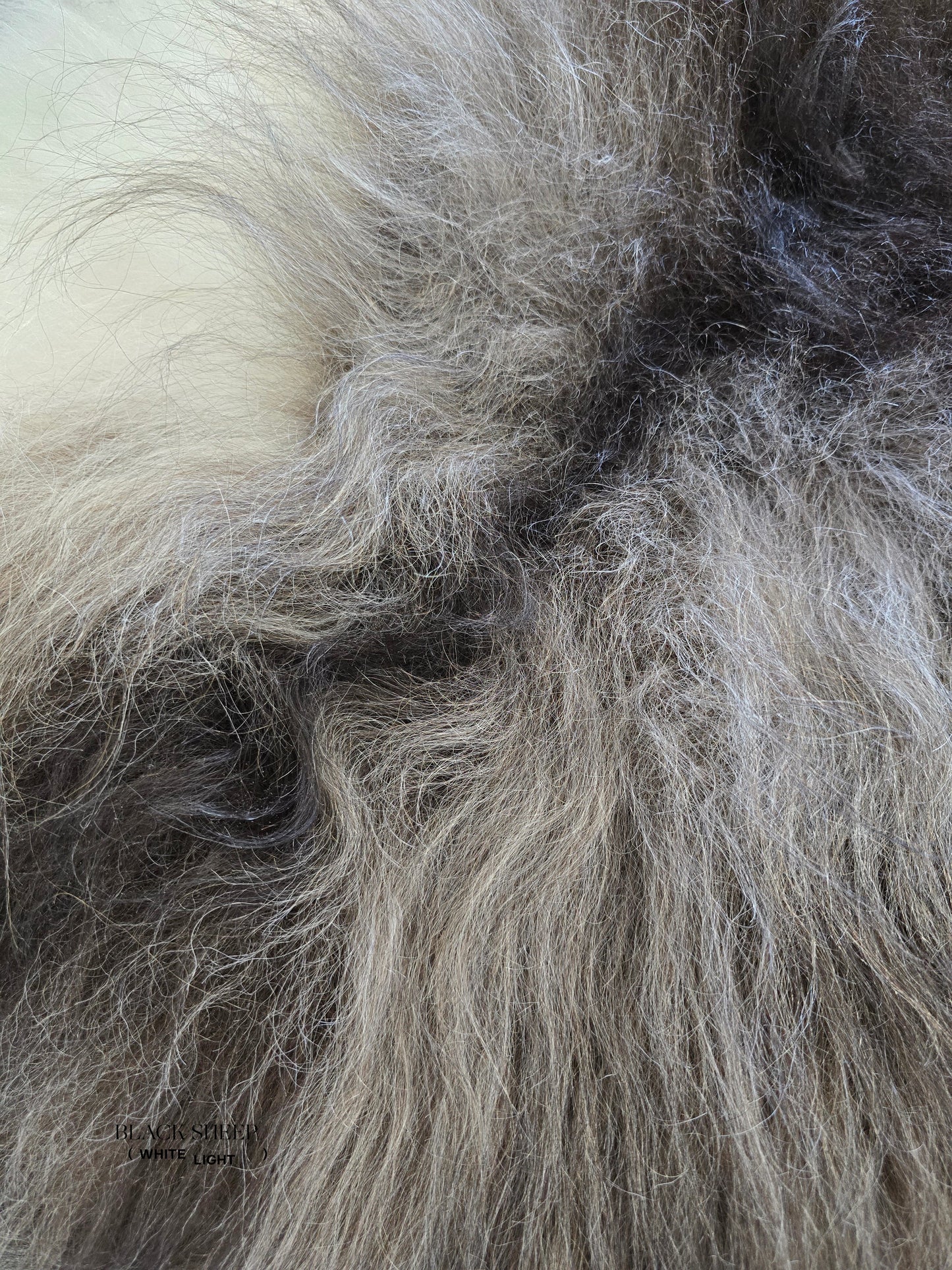 ONE OF THE KIND Icelandic Spotted Random Black and White Sheepskin - Black Sheep (White Light)