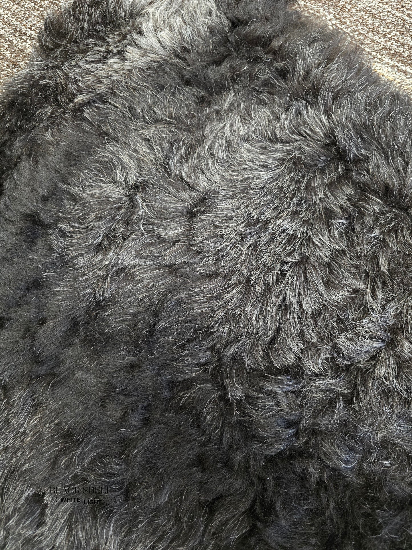 ONE OF THE KIND Icelandic Shorn Black Salt and Pepper Sheepskin - Black Sheep (White Light)