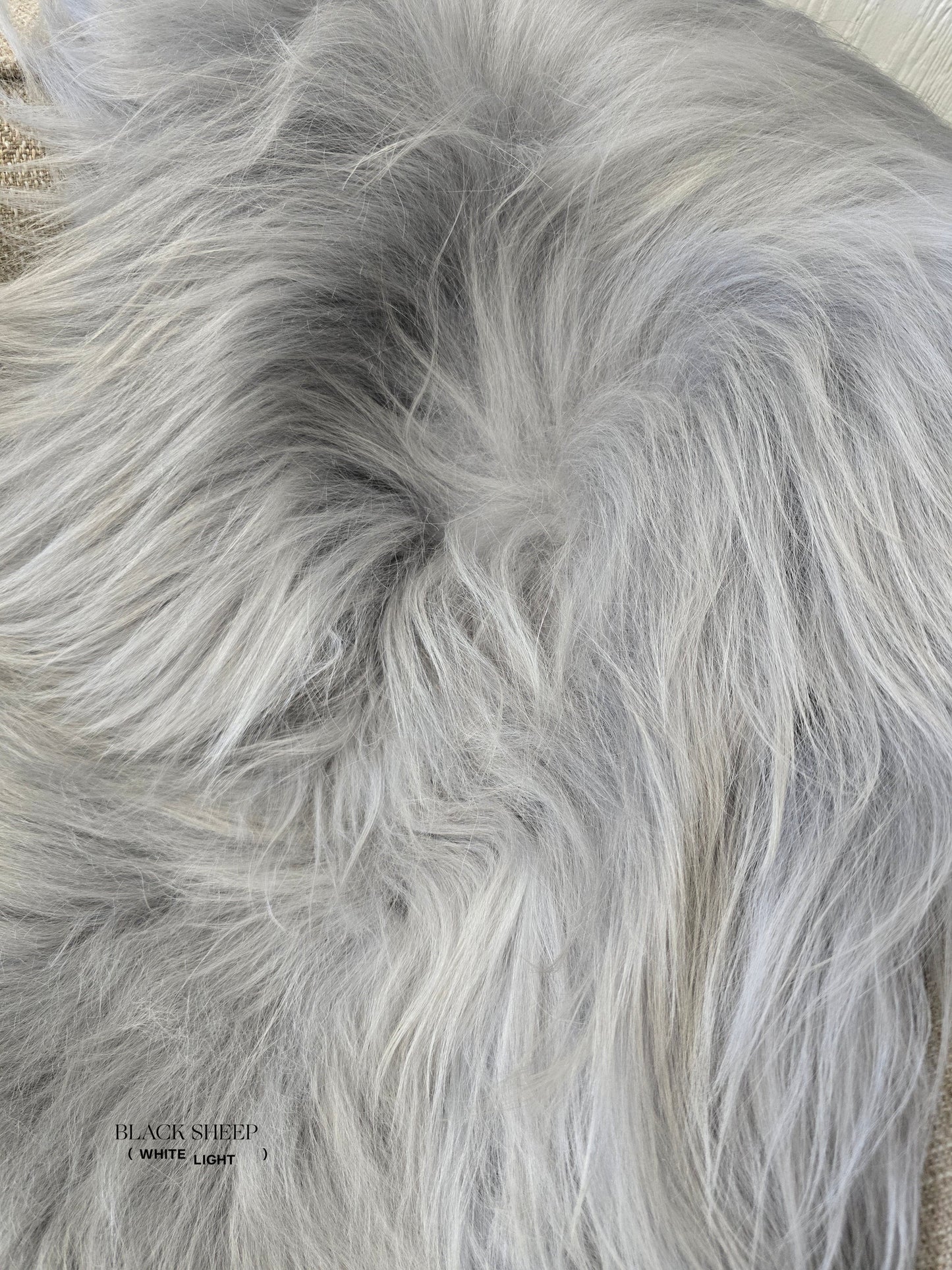 ONE OF THE KIND Icelandic Light Blue Grey Sheepskin - Black Sheep (White Light)