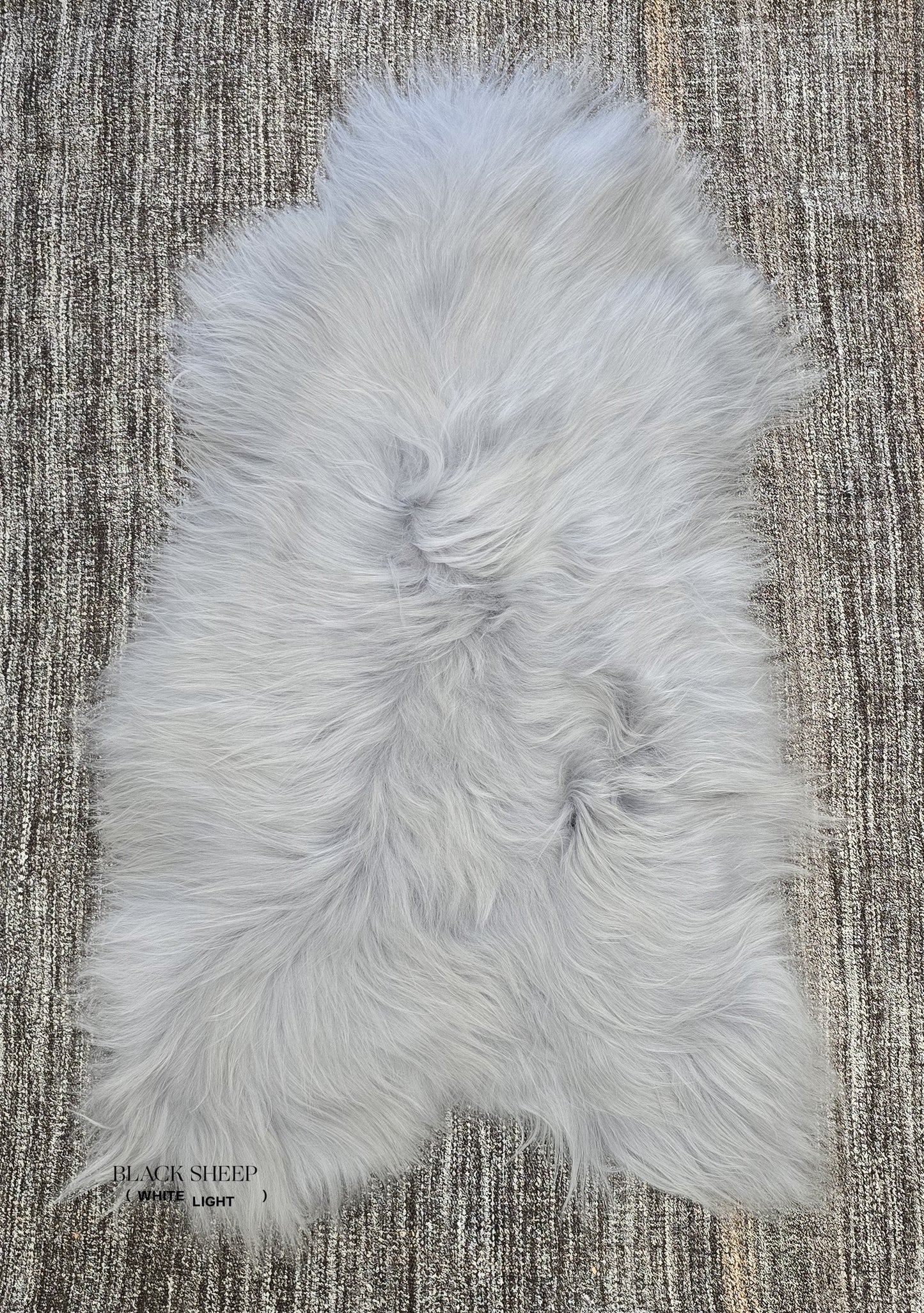 ONE OF THE KIND Icelandic Light Blue Grey Sheepskin - Black Sheep (White Light)