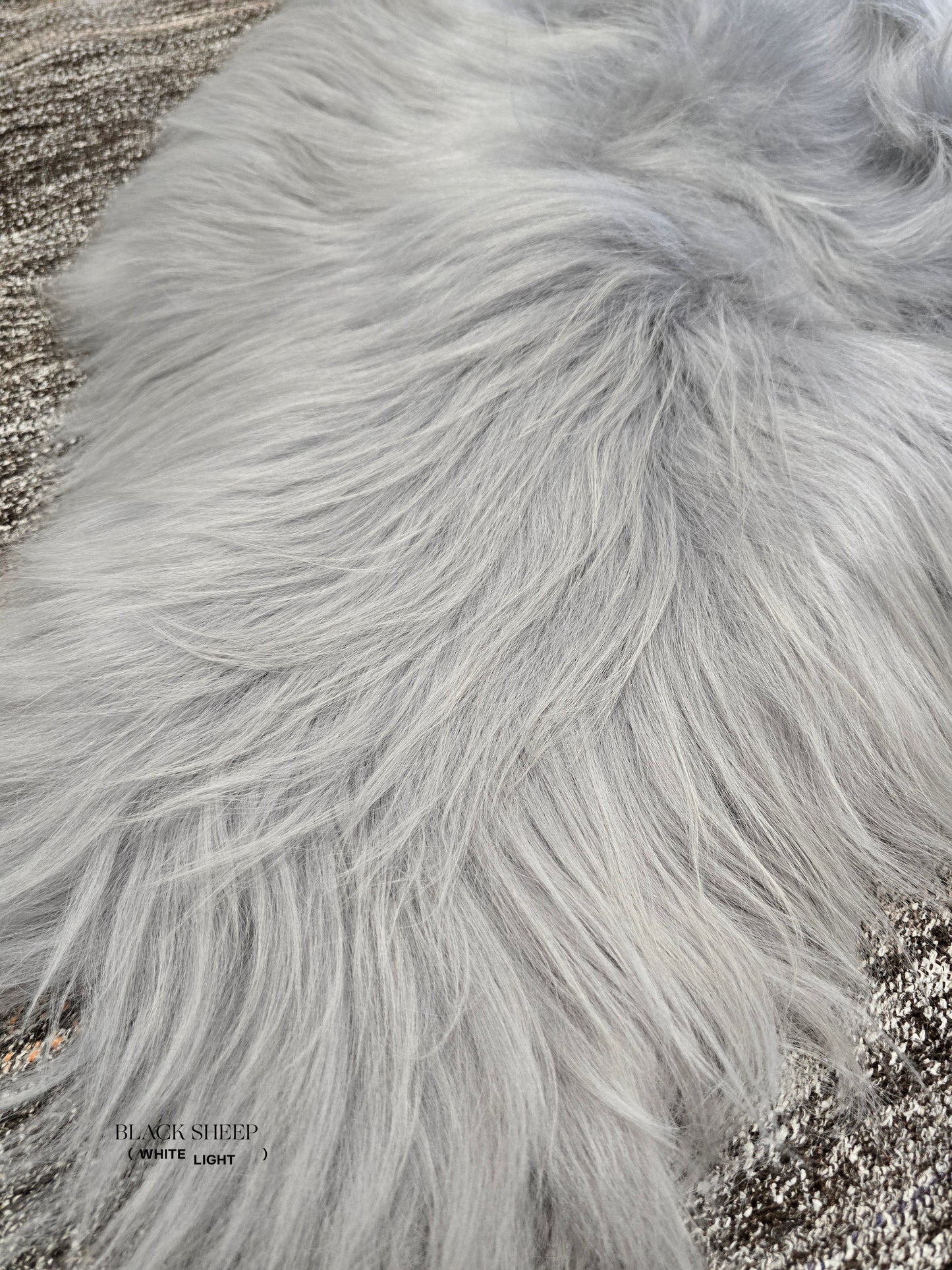 ONE OF THE KIND Icelandic Light Blue Grey Sheepskin - Black Sheep (White Light)