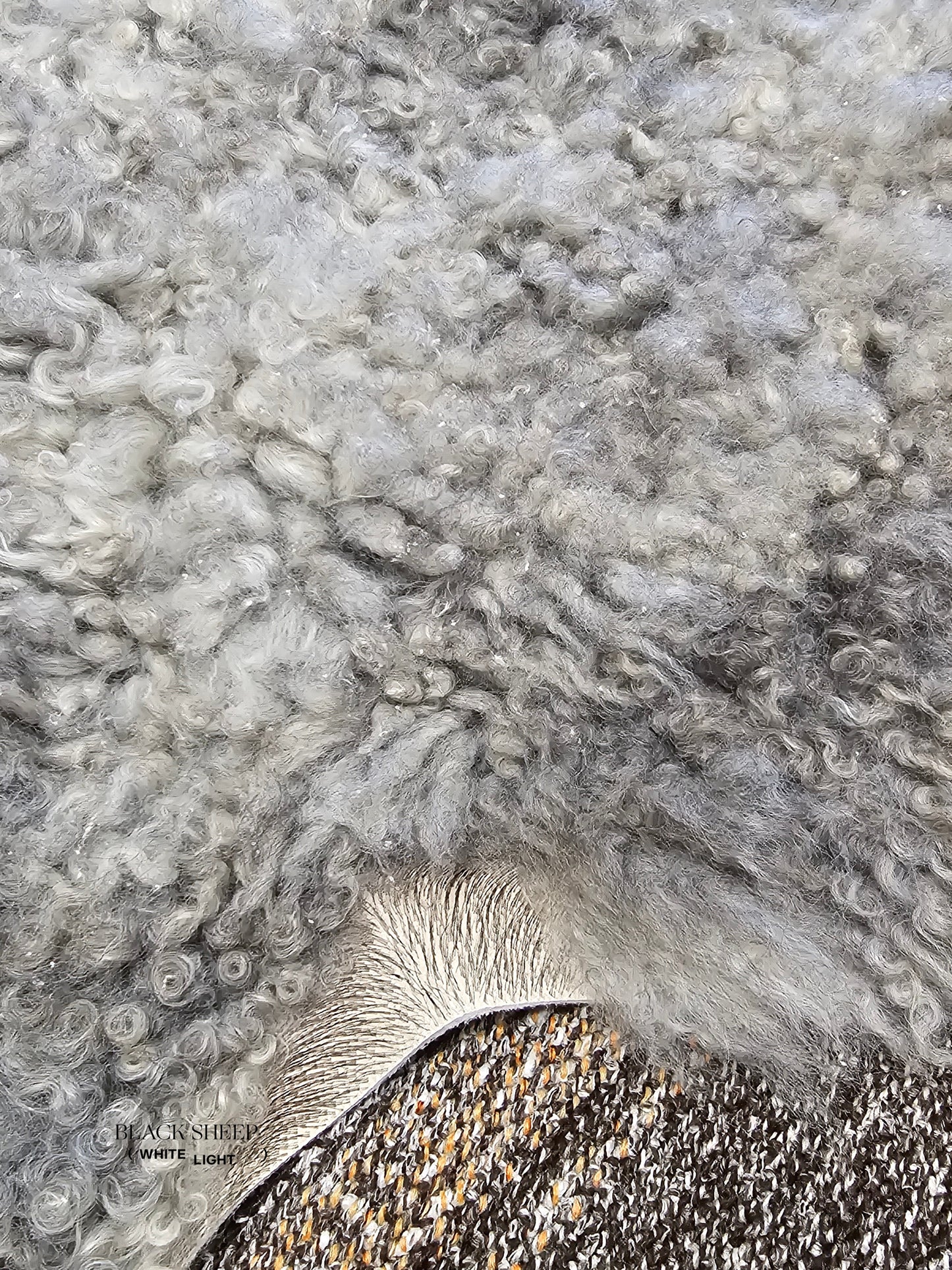 ONE OF THE KIND Gotland White and Grey Medium Wool Sheepskin - Black Sheep (White Light)
