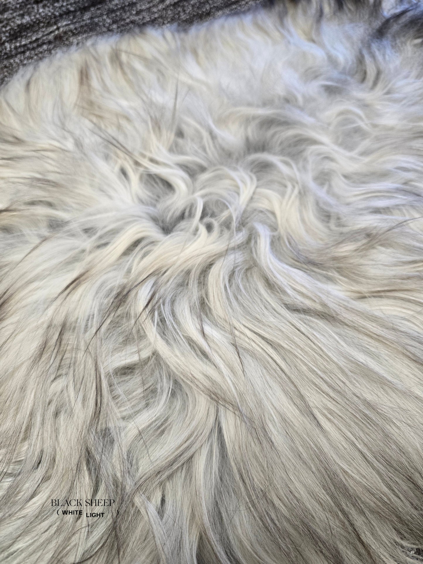 ONE OF THE KIND Small Long wool Icelandic Sheepskin in Light Natural Grey. - Black Sheep (White Light)