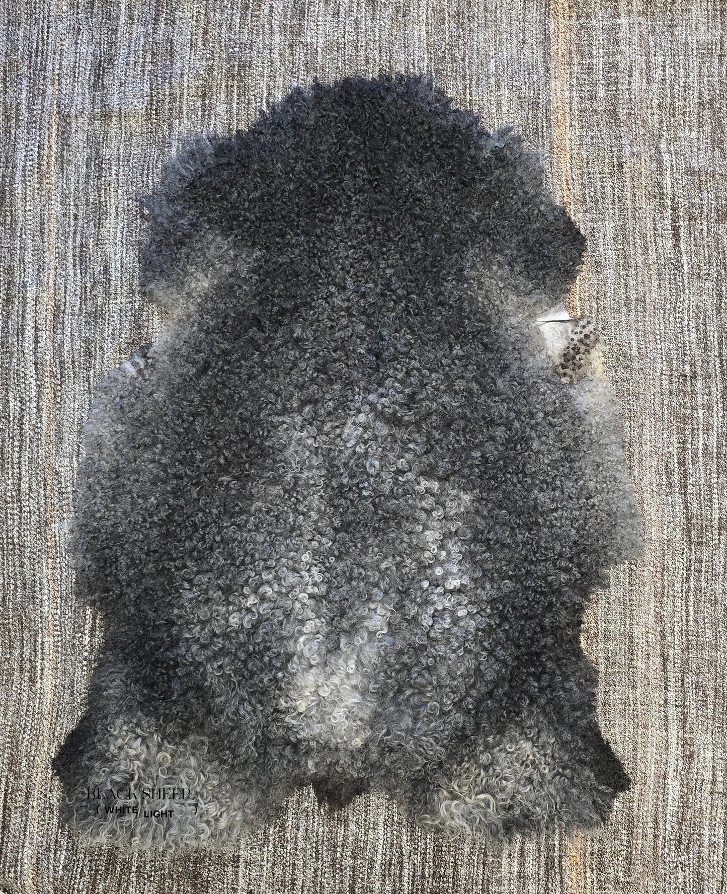 ONE OF THE KIND Large Gotland Charcoal Long Wool Sheepskin - Black Sheep (White Light)