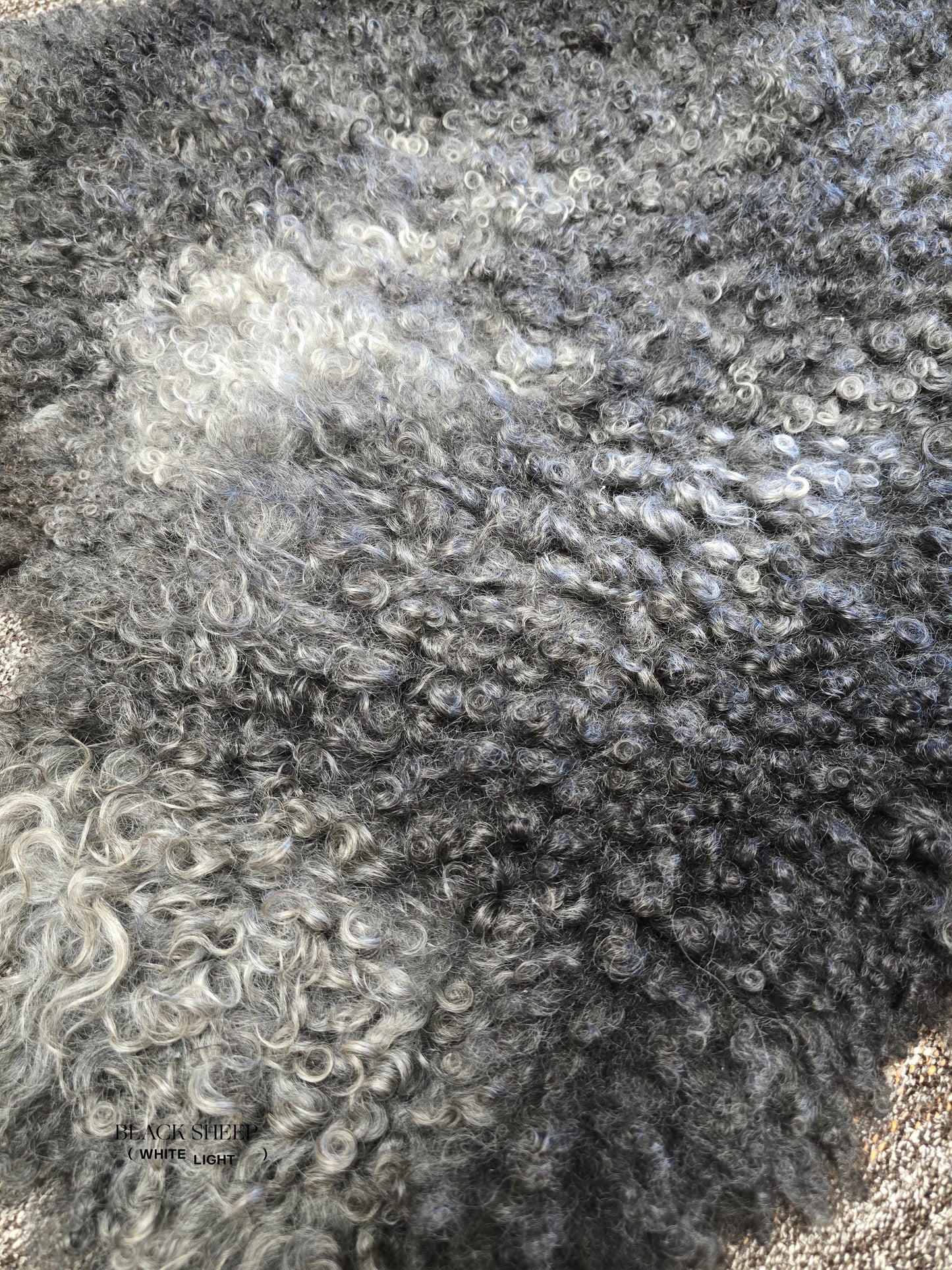 ONE OF THE KIND Large Gotland Charcoal Long Wool Sheepskin - Black Sheep (White Light)