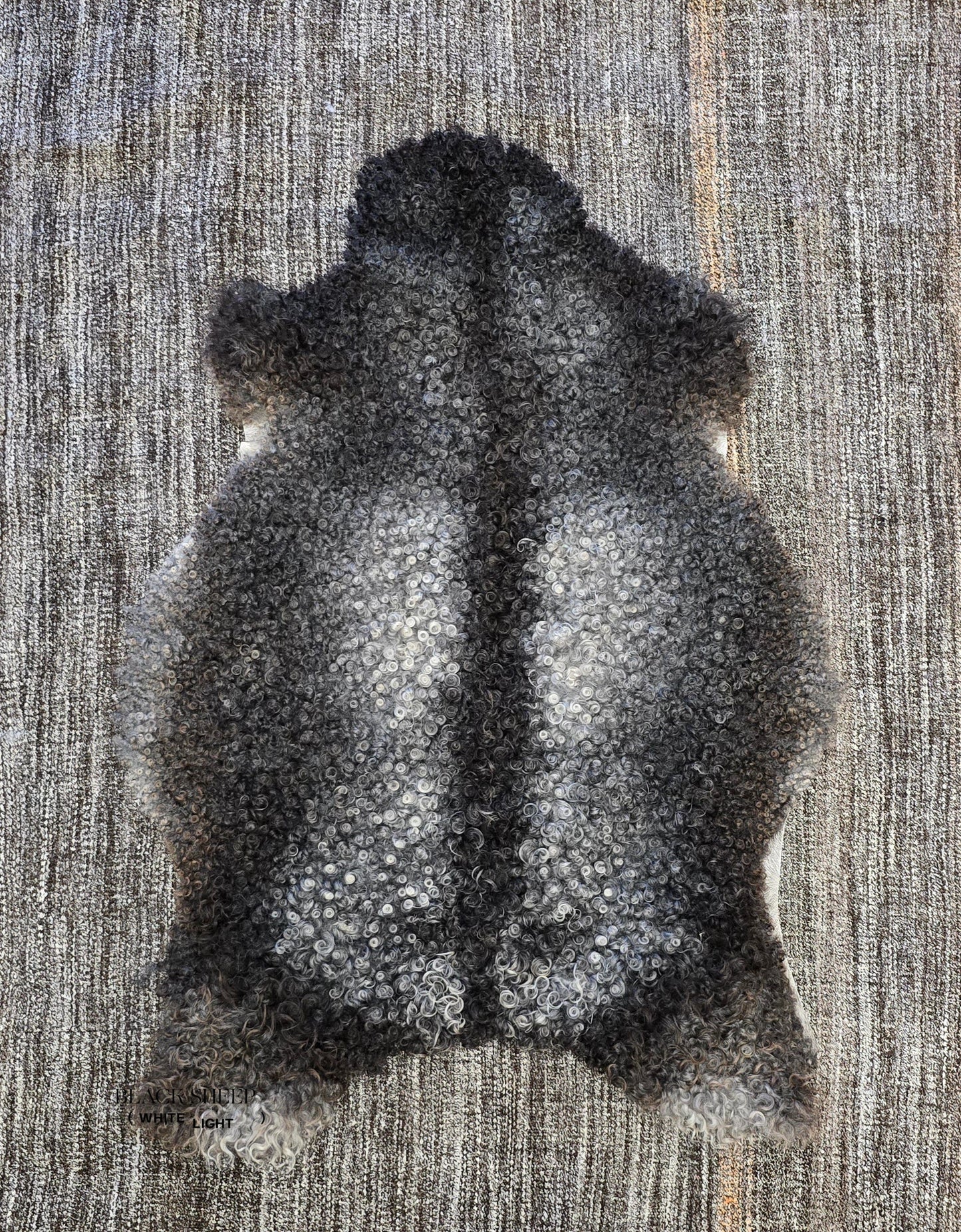 ONE OF THE KIND Gotland Charcoal Salt and Pepper Medium Wool Sheepskin - Black Sheep (White Light)