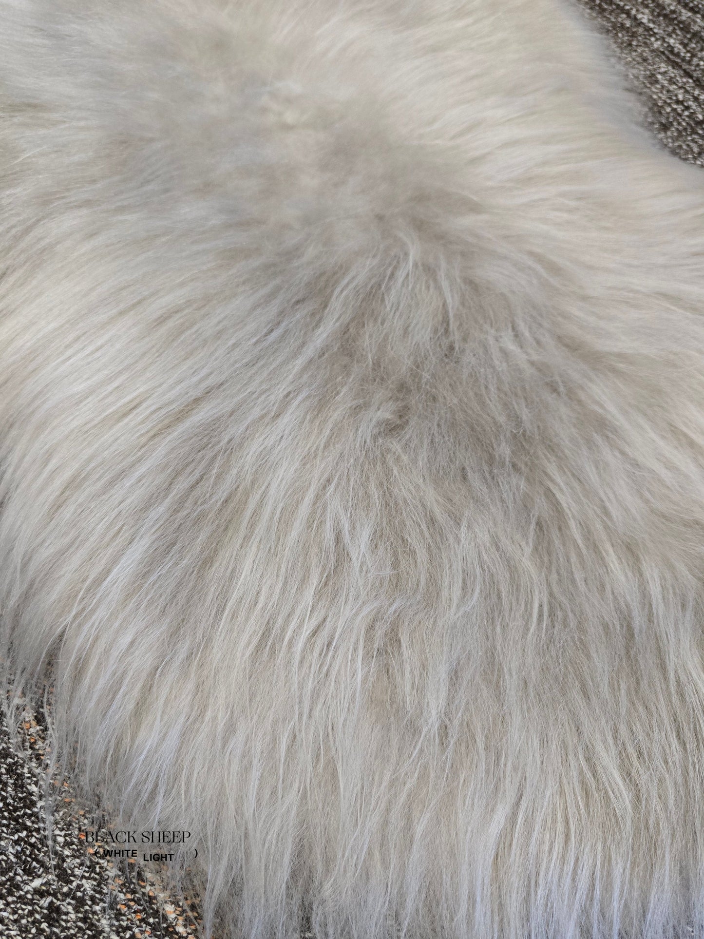 ONE OF THE KIND Long Wool Icelandic Linen Sheepskin - Black Sheep (White Light)