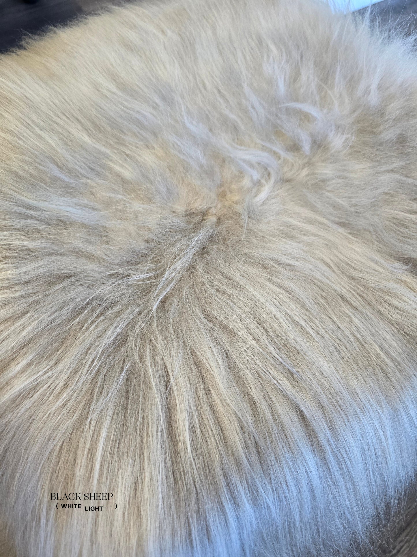 ONE OF THE KIND Long Wool Icelandic Linen Sheepskin - Black Sheep (White Light)