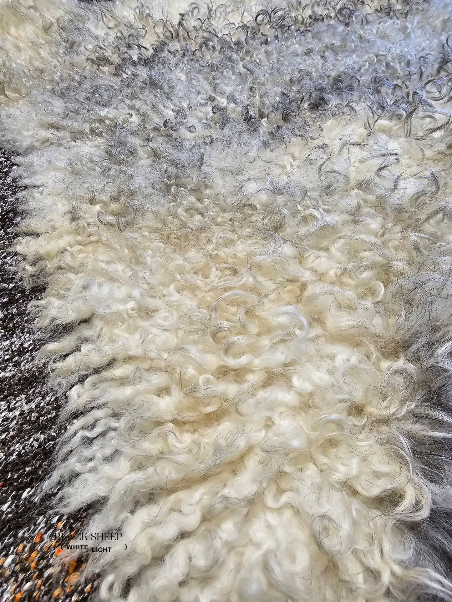 ONE OF THE KIND Gotland White and Grey Medium Wool Sheepskin - Black Sheep (White Light)