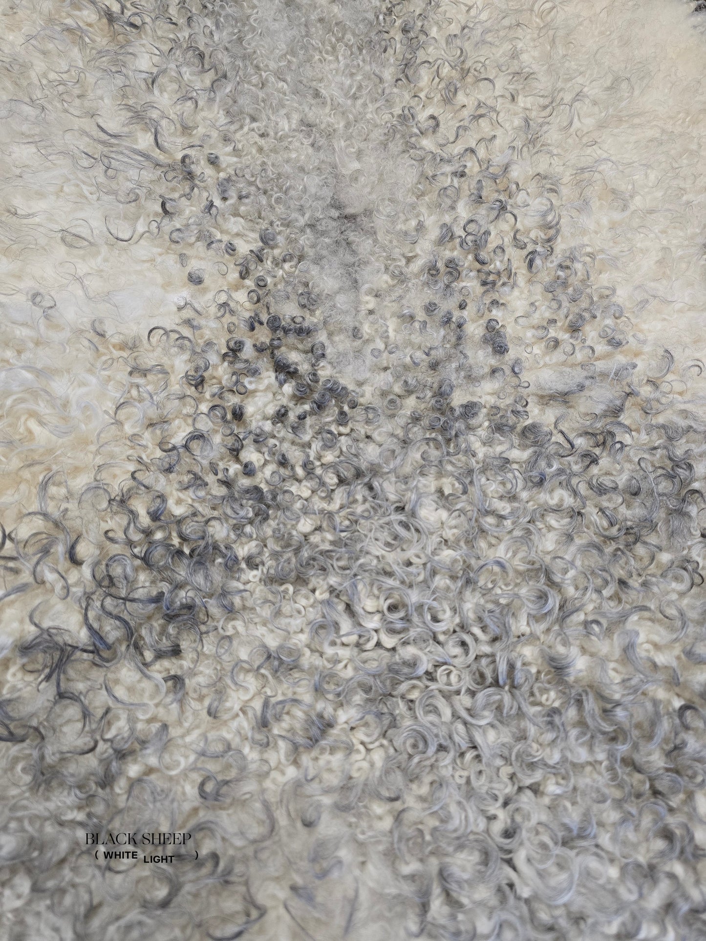 ONE OF THE KIND Gotland White and Grey Medium Wool Sheepskin - Black Sheep (White Light)