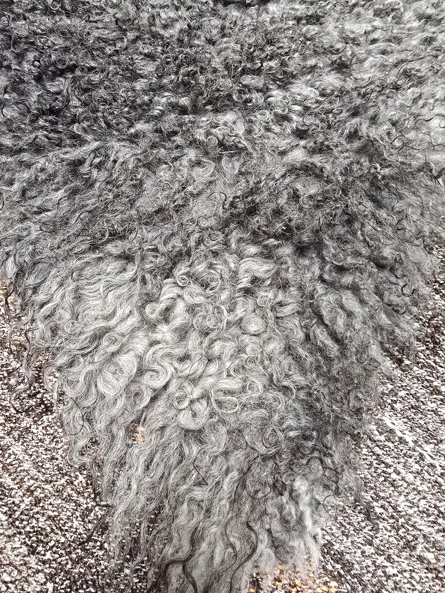 ONE OF A KIND Gotland Grey Medium Wool Sheepskin