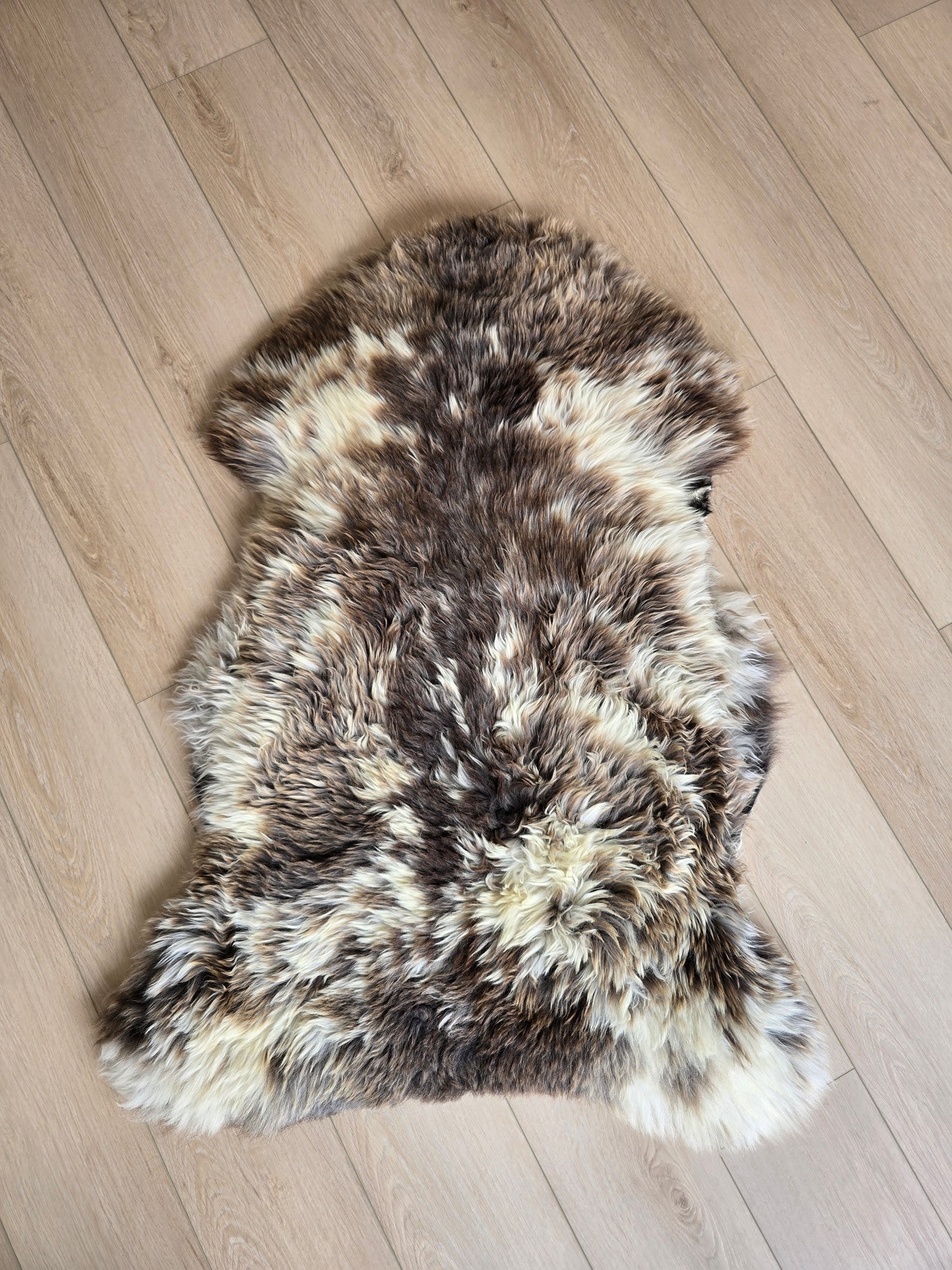 Unique Speckled Welsh Sheepskin