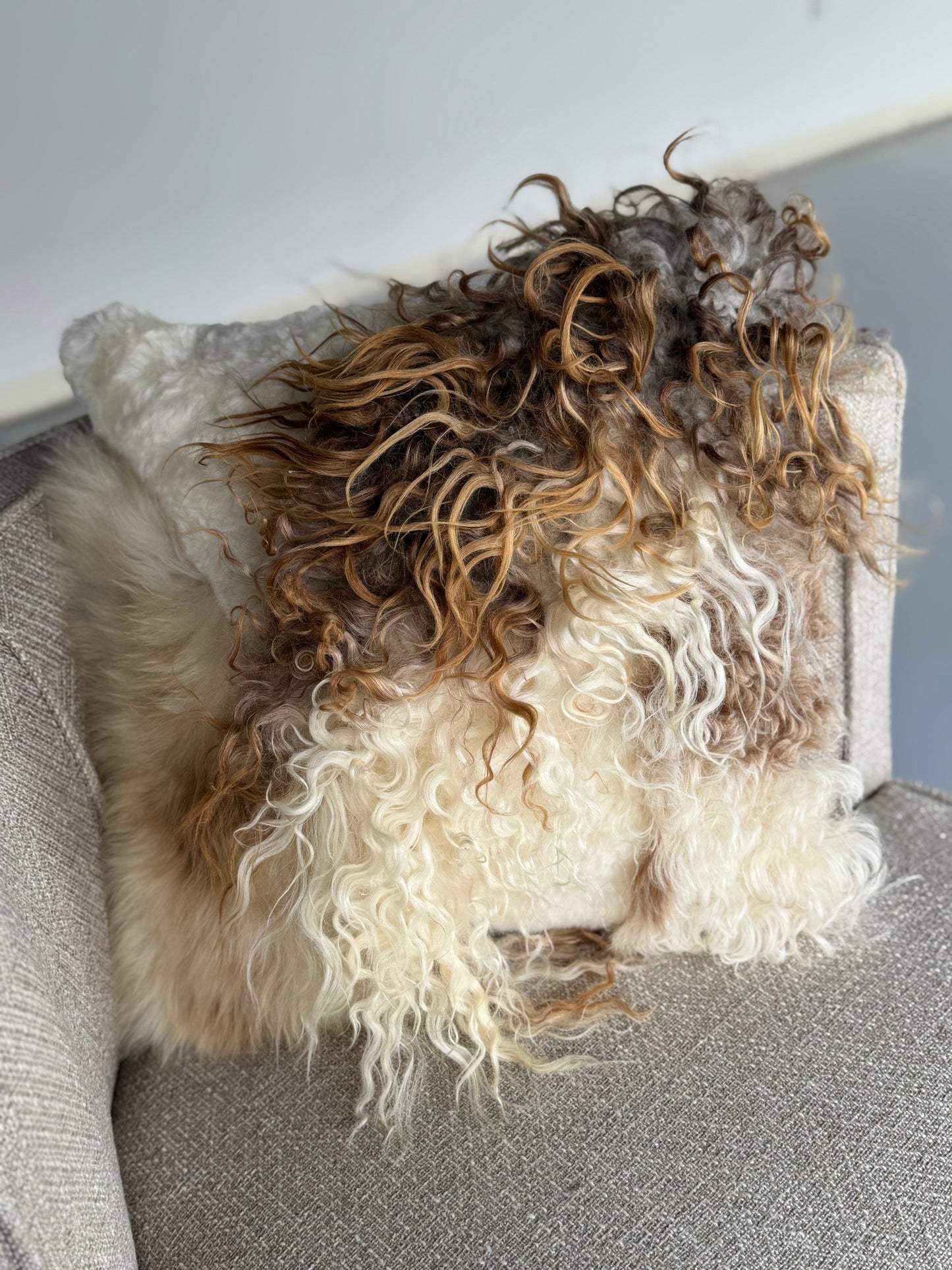 Mélange Sheepskin Pillow, curly wool
