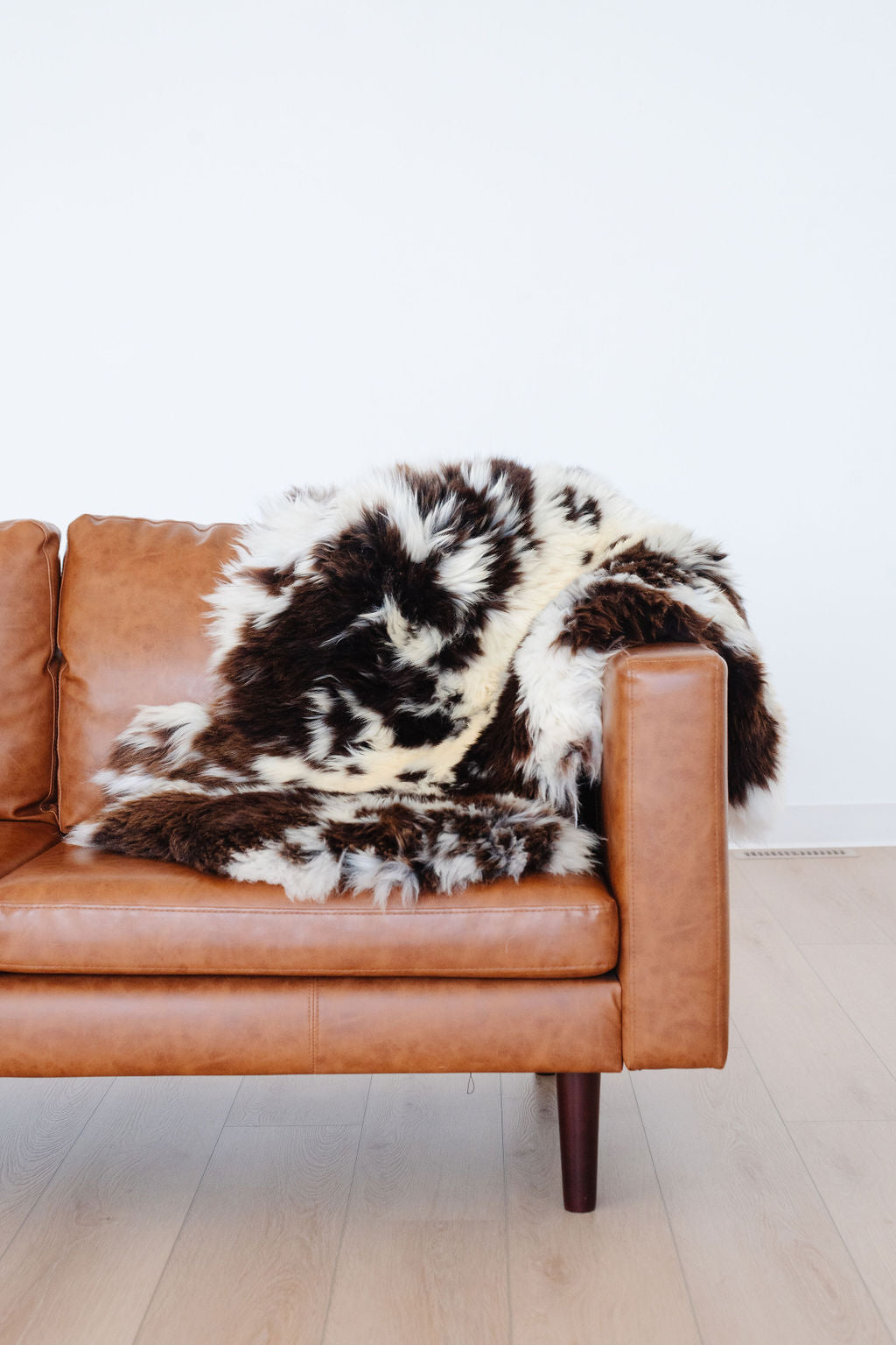 Unique Spotted Welsh Sheepskin