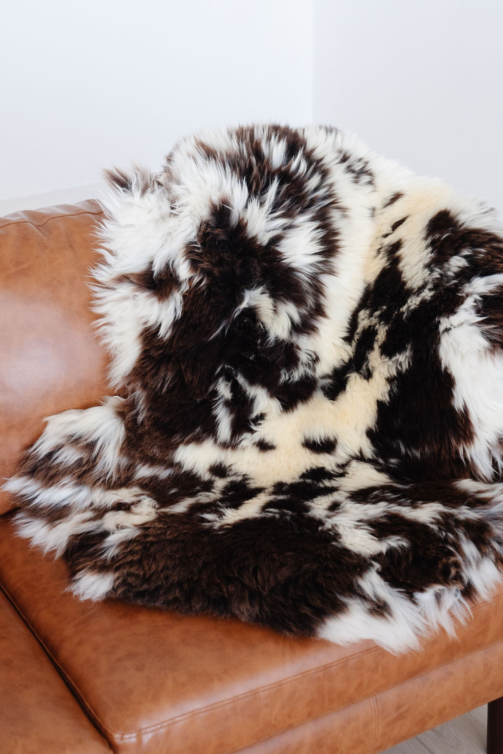Unique Spotted Welsh Sheepskin