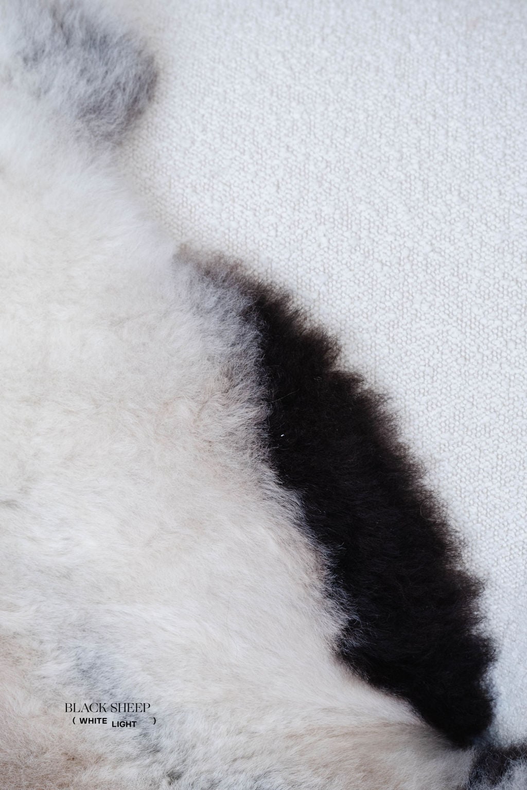 Peau de mouton islandaise grise tondue