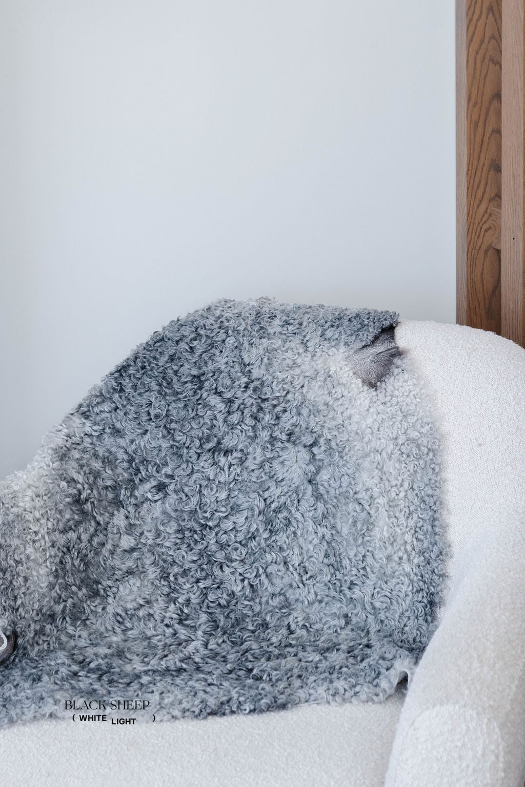 Peau de mouton Gotland en laine courte grise