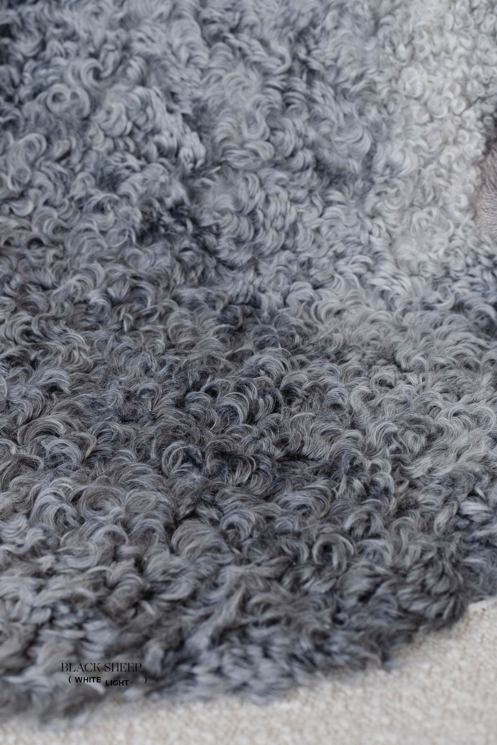 Peau de mouton Gotland en laine courte grise