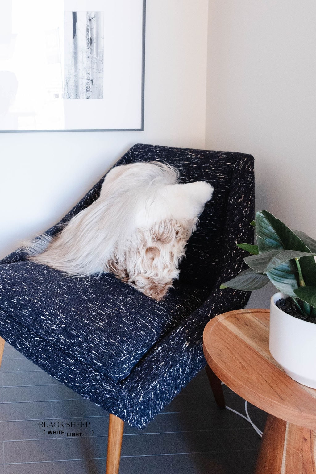 Mélange Sheepskin Pillow, straight wool - Black Sheep (White Light)