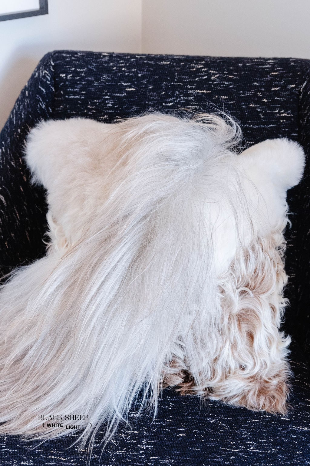 Mélange Sheepskin Pillow, straight wool - Black Sheep (White Light)