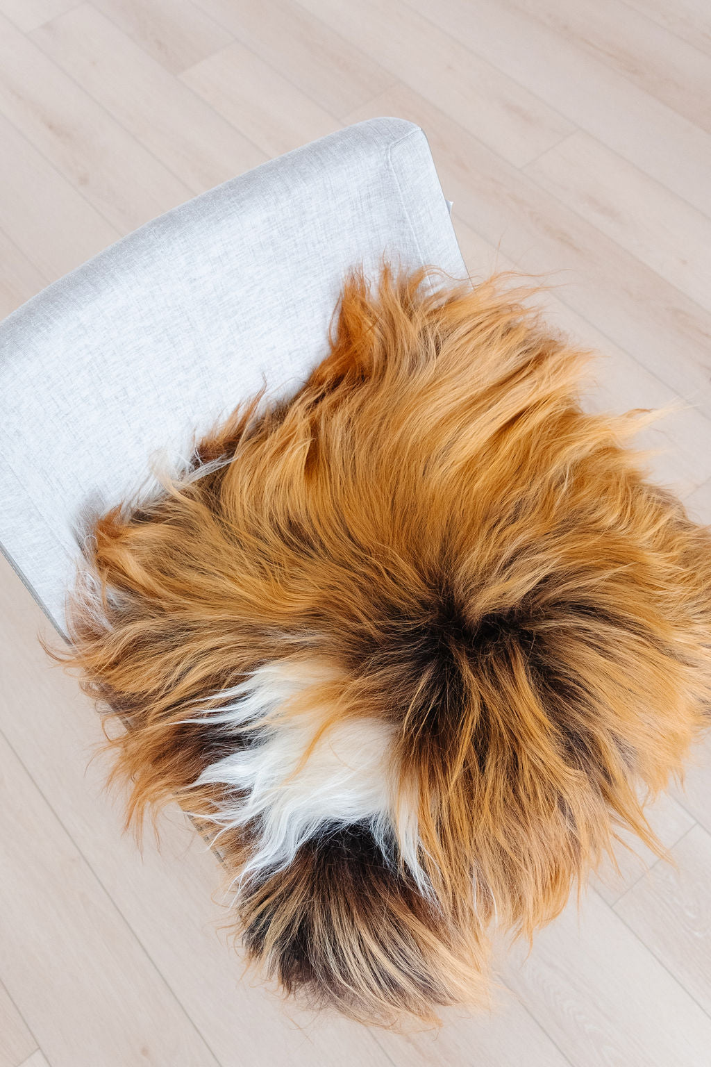 ONE OF A KIND Icelandic Rusty Brown Sheepskin Chair Pad - one piece only!