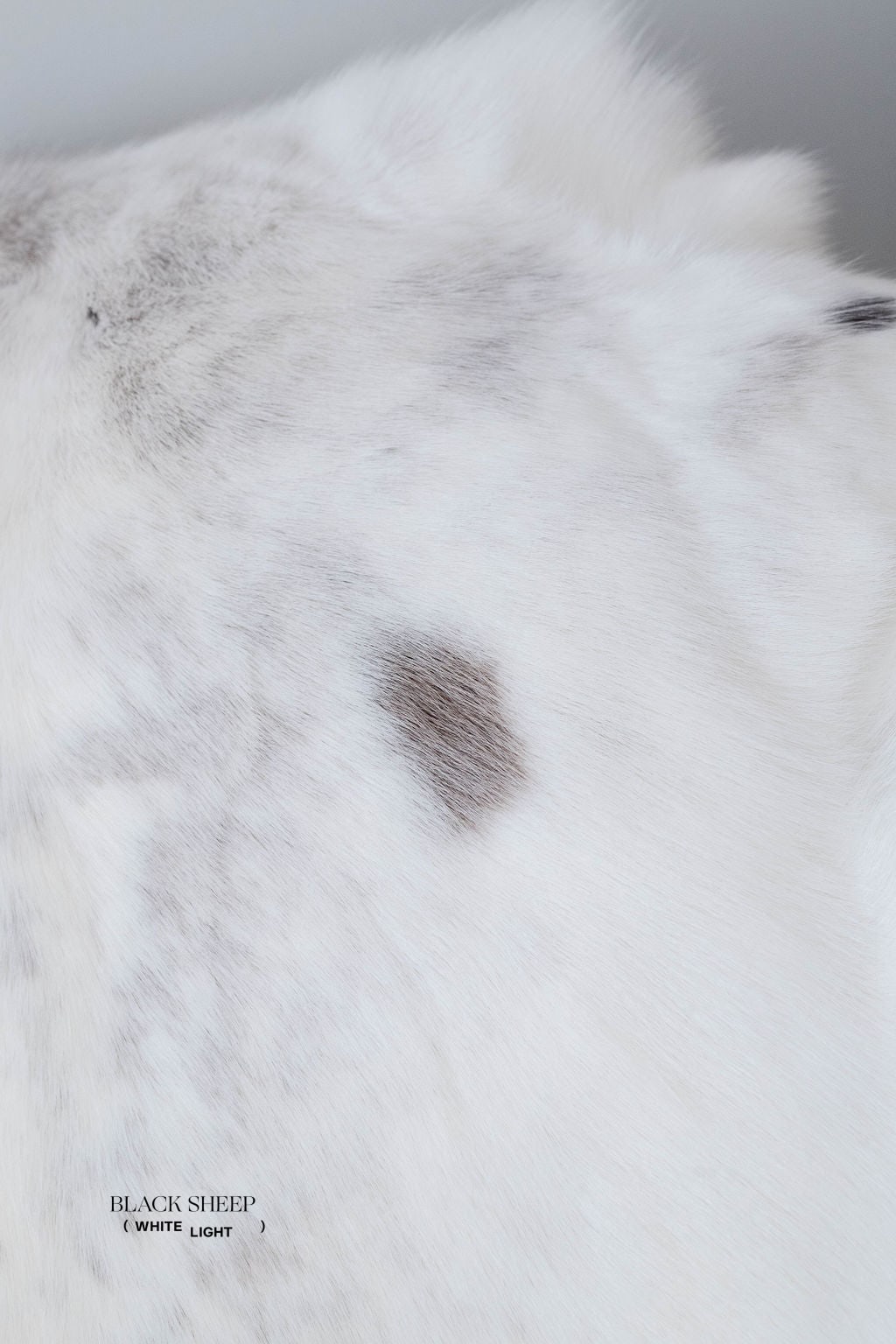 White Sami Reindeer Hide