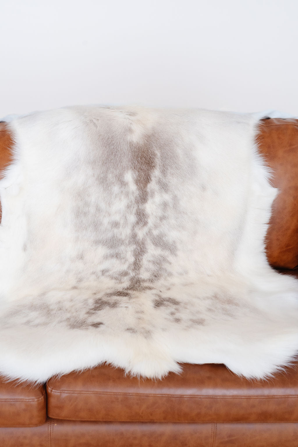 ONE OF A KIND Spotted Albino Reindeer Hide